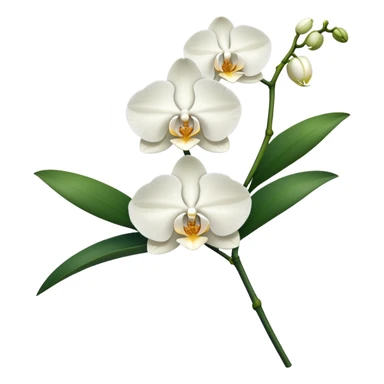 Single elegant orchid stem with several blooms on one stalk and a few green leaves at the base sticker