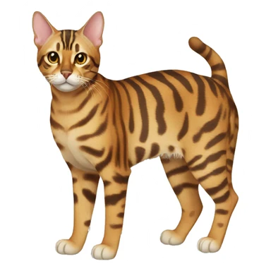 Bengal Cat Breed Full Body sticker