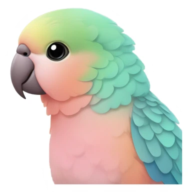 Rosy Bourke parakeet  sticker