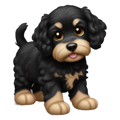 Full Black Havaneser dog puppy  sticker