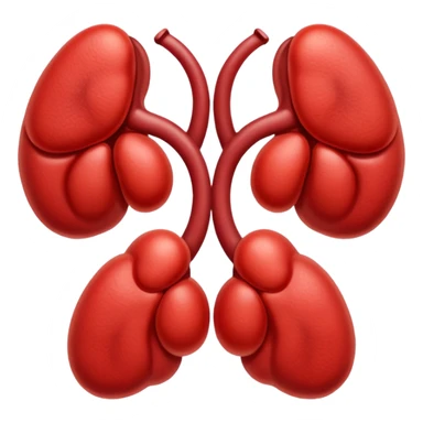 kidneys sticker