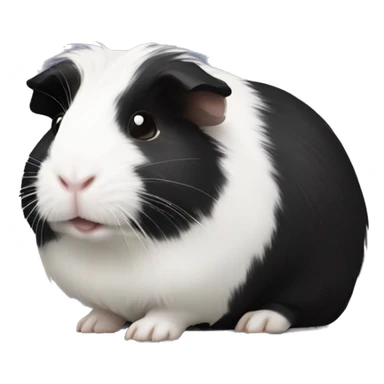 Black with white guinea pig sticker
