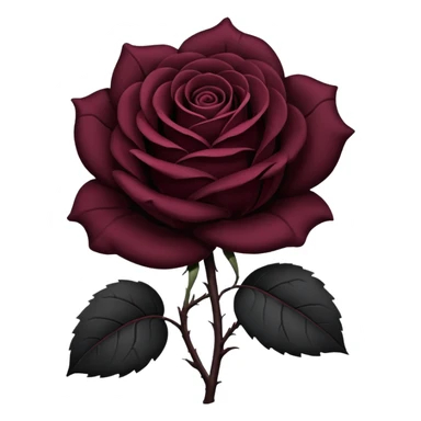 black rose, without green leaves, just flower sticker