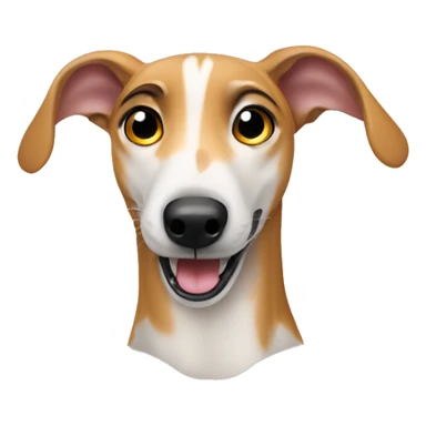 Fawn tiger greyhound licks the screen sticker