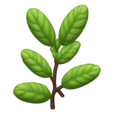 Wild licorice Glycyrrhiza lepidota sticker