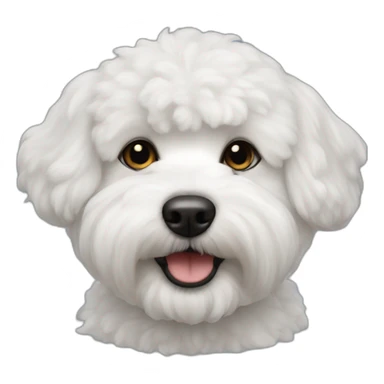 bichon-havanais-half-white-black sticker