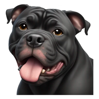 Black american bully with blunt sticker