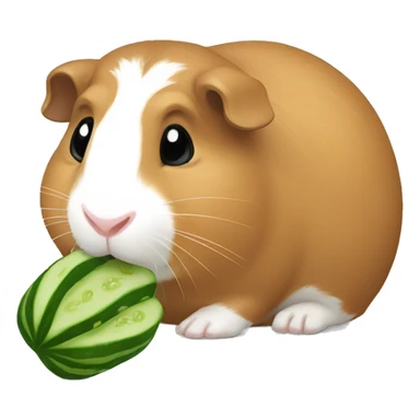 Guineapig eating cucumber sticker
