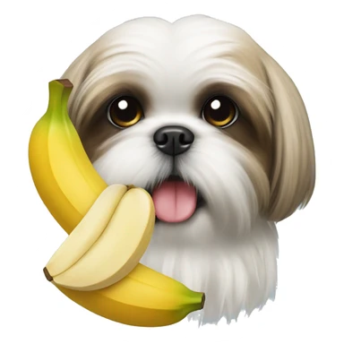 Shih tzu with a stuffed banana face in its mouth sticker