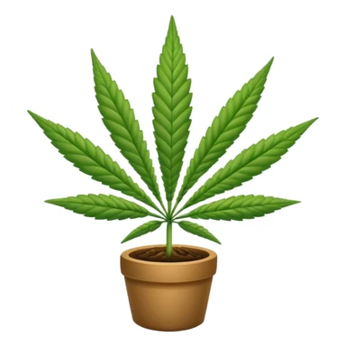 Planta de mariguana sticker