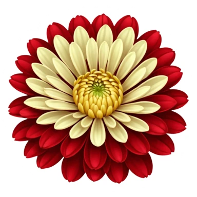 chrysanthemum flower full red sticker
