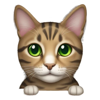 tabby cat with green eyes sitting in cardboard box sticker