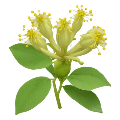 Ashwagandha flower with greenish-yellow petals and a central cluster of tiny yellow stamens sticker