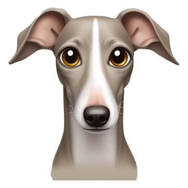 Sand Italian greyhound style iPhone emoji de face le regard joyeux bouche fermé truffe humide sticker