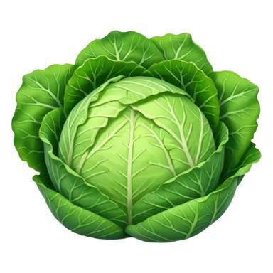  Shredded cabbage    sticker