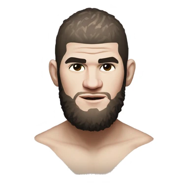 khabib russin ufc light weight champion sticker