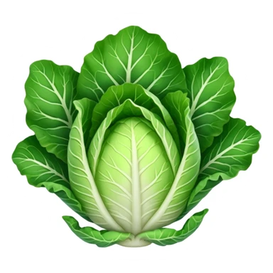 chinese cabbage sticker