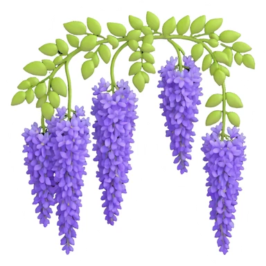 Realistic hanging wisteria racemes with detailed grape-like clusters of lavender flowers cascading downward, accompanied by light green compound leaves sticker