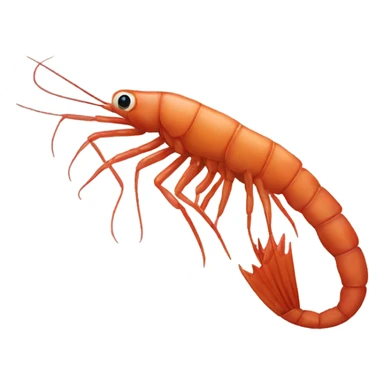 Christmas shrimp sticker