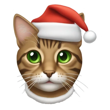 brown tabby cat with green eyes with a santa hat on sticker
