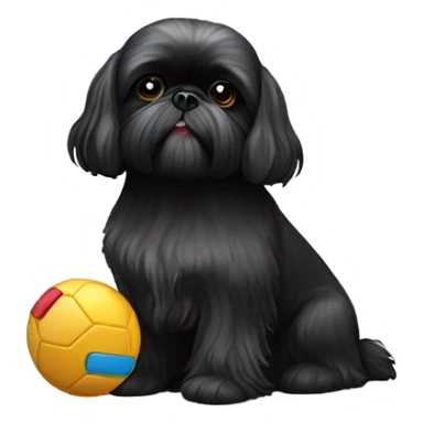 Black Shih Tzu with toy sticker