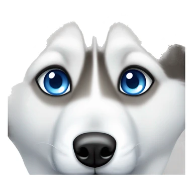 siberian husky with blue eyes peeking sticker