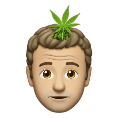 Macron qui fume de la weed sticker