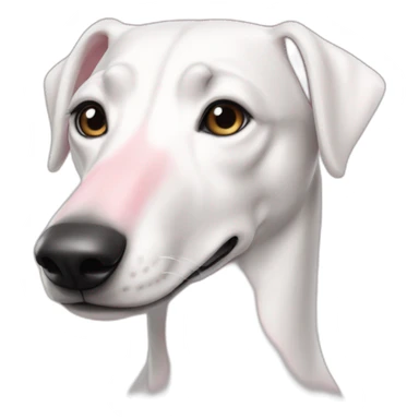 Dog galgo all white anda pink noise sticker