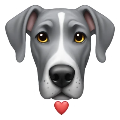 Grey great dane with heart sticker