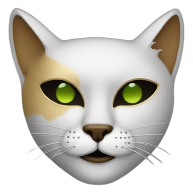 the mask with a cat sticker