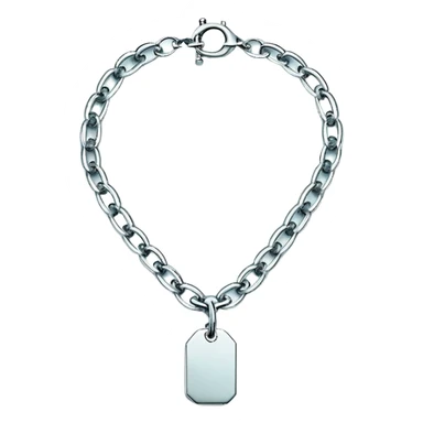 Tiffany big chain silver tag choker necklace “return to Tiffany” sticker