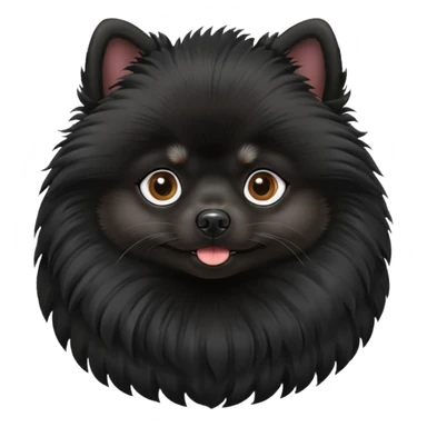 Black Pomeranian Spitz sticker