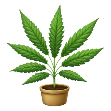 cannabis sticker