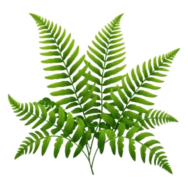 lush green fern fronds, natural plant sticker