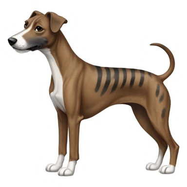 Pitbull greyhound mix brindle  sticker