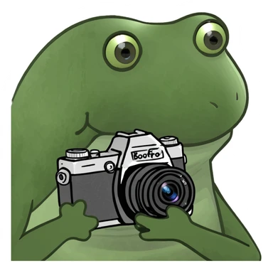 Place the bufo frog holding a camera on a sunny tropical beach, maintaining the green bufo frog meme style with concise details and vibrant colors typical of the bufo style. sticker