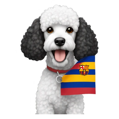 black and white poodle with a Barcelona flag sticker