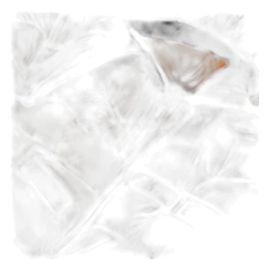 orange cp company puffer jackrt sticker