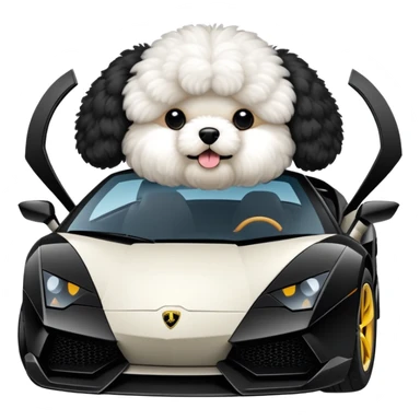 a black bichon in a lamborghini sticker