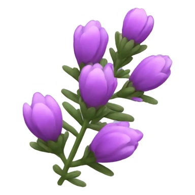 Heather flowers  sticker