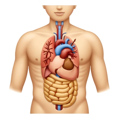  gastrointestinal sticker