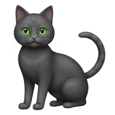 full body gorgeous solid dark grey cat with green eyes, white paws and white whiskers playing sticker
