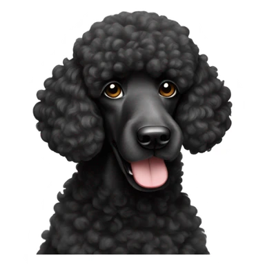 Black standard poodle called Bobby sticker