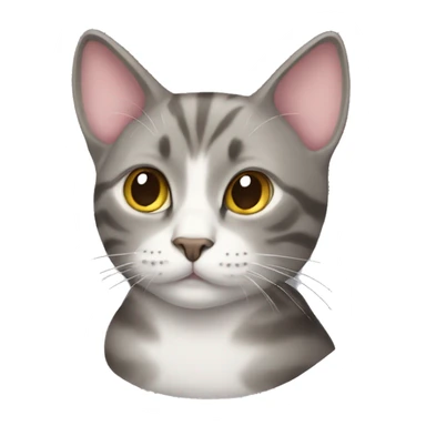 Homosexual cat sticker