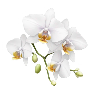 orchid with white flowers sticker