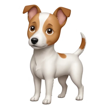 a fully white jack russell the size of a kelpie with light brown ears and a light brown patch on one eye sticker