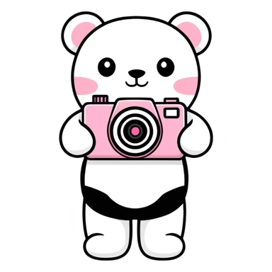 White teddy bear with a pink camera sticker