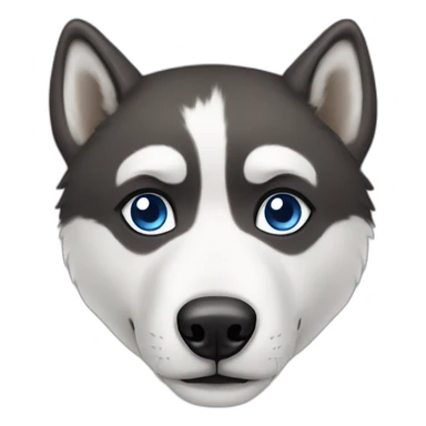 A Husky with one bleu eye and brown sticker