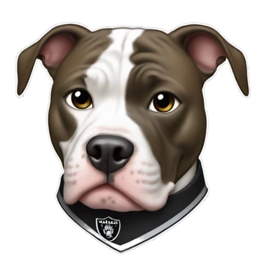 Pitbull with a raiders logo shirt  sticker