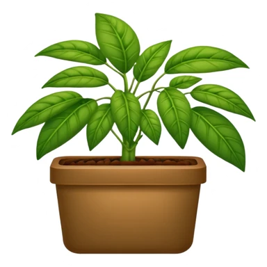plantas abundantes tipo helecho en macetas rectangulares color café sticker
